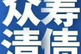 洪山为什么选择专业追讨公司来处理您的债务纠纷？